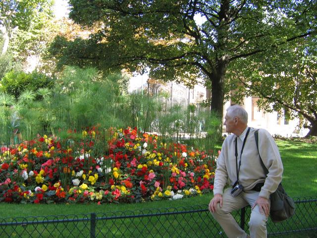 Parc Monceau - klomb kwiatowy