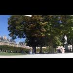 Place des Vosges opanowany przez drzewa