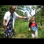 Przyroda na działce