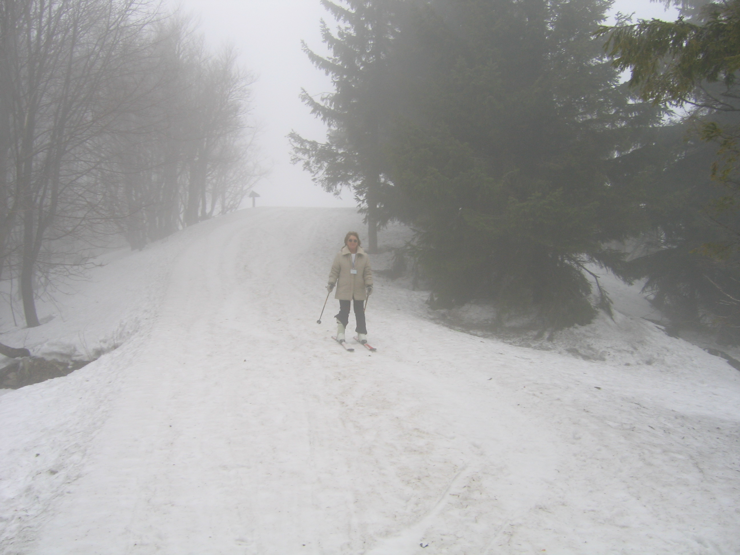 Krynica - na Jaworzynie 5