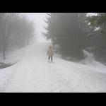 Krynica - na Jaworzynie 5