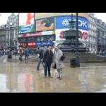 polska inteligencja na Piccadilly