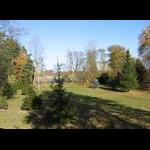 Widok na rzekę z domku