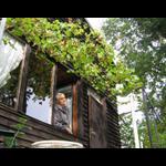 Winogrona nad tarasem