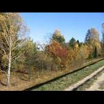 Impresje z krajobrazem