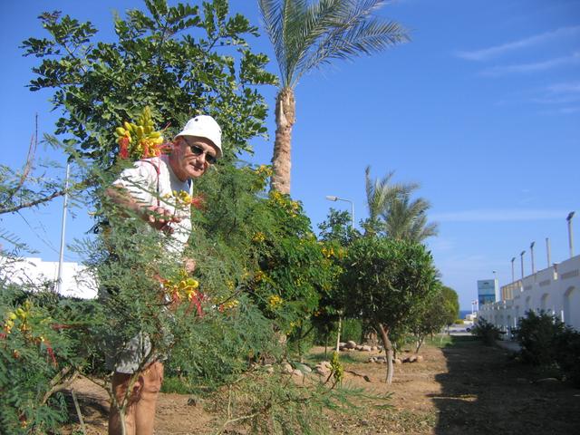 Kwiaty przy drodze na plażę (publiczną)