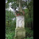 Między Horyńcem a Brusnem