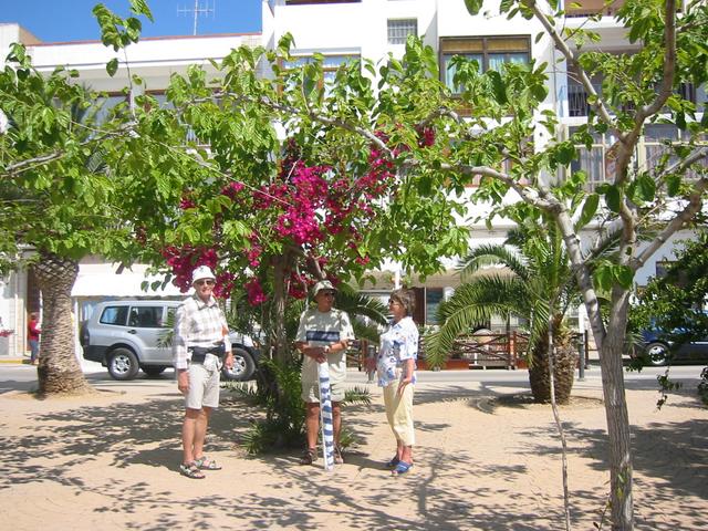 Alcosserbe - spacery po mieście 1