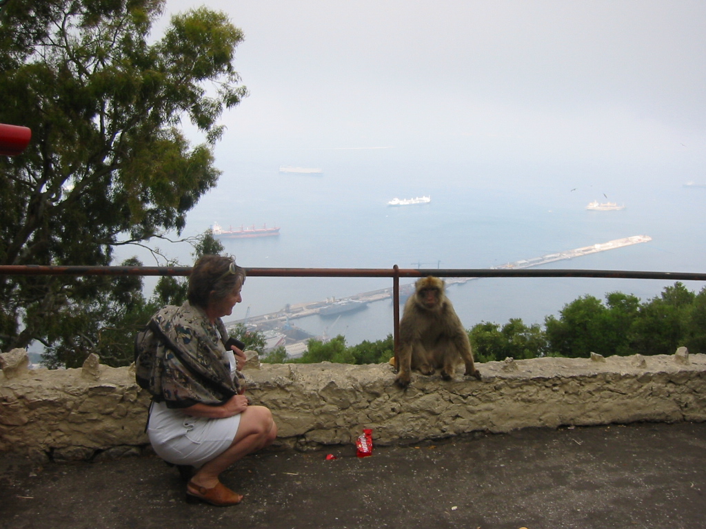 Gibraltar - portret na tle portu