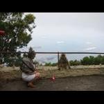 Gibraltar - portret na tle portu