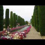 Kordoba - dalsza część ogrodóþw przy pałacu Alfonsa XI