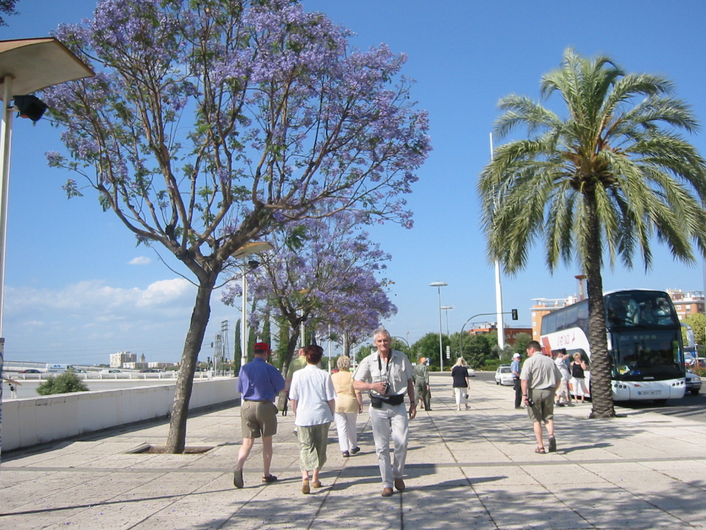 Spacer Paseo Alcade Marques de Contadero do Torre del Oro