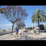 Spacer Paseo Alcade Marques de Contadero do Torre del Oro