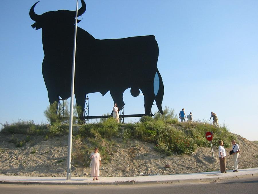 Najczęściej spotykane po drodze byki