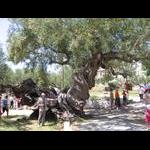 Na objeździe wyspy Zakintos 6